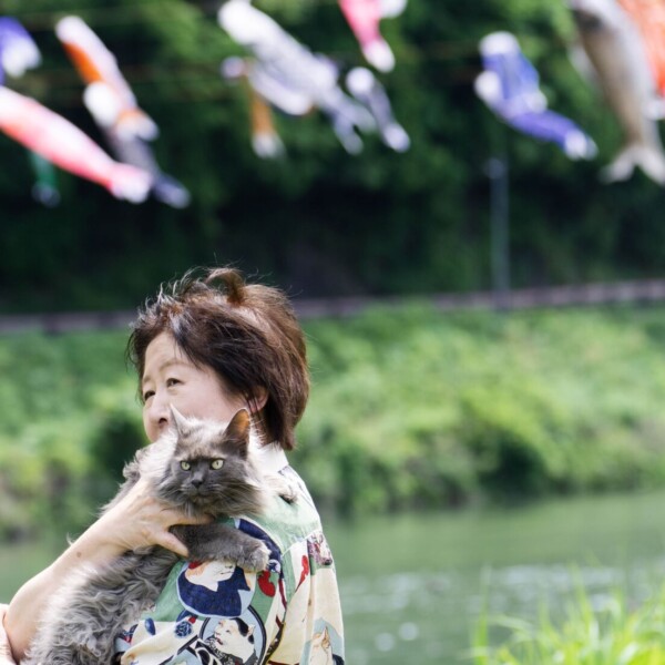 猫のナナ